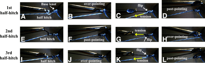 Untitled picture.png